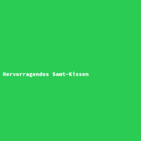Hervorragendes Samt-Kissen
