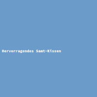 Hervorragendes Samt-Kissen