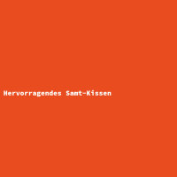 Hervorragendes Samt-Kissen