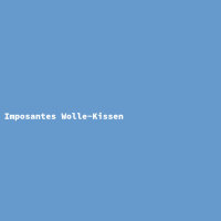 Imposantes Wolle-Kissen